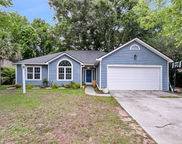1309 Llewellyn Road, Mount Pleasant image