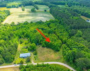 Magetgov, Bonneau image