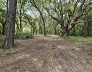 254 Deer Track Drive, Edisto Island image