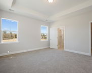 195 Claret Cup Way, Charleston image