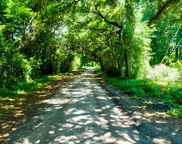 0000 Arsburn Road, James Island image