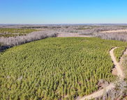 5659 Mt Pisgah Rd, Bethune image