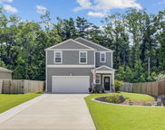 352 Matuskovic Drive, Charleston image