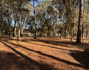 Cane Slash Road, Johns Island image