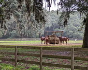 21 Middleton Oaks Road, Charleston image