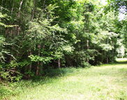 Kitfield Road, Moncks Corner image