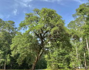 Lot 8 Buttonbush Drive, Ravenel image