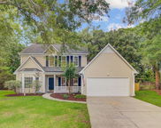 1253 Horseshoe Bend, Mount Pleasant image