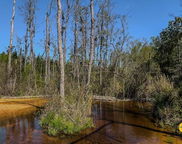 2919 Porter Rd, Cassatt image