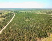 5659 Mt Pisgah Rd, Bethune image