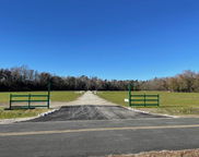 10 Wiggins Estates Lane, Holly Hill image