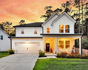 69 Red Bluff Street, Summerville image