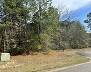 226 Spotted Owl Lane, Moncks Corner image