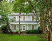 543 Castle Hall Road, Mount Pleasant image