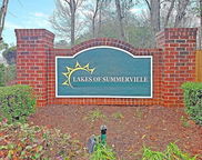 123 Lynches River Drive, Summerville image