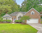 1148 Black Rush Circle, Mount Pleasant image