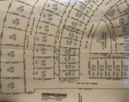 250 Hawthorn Lane, Hardeeville image