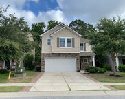 3808 Tupelo Branch Row, Mount Pleasant image