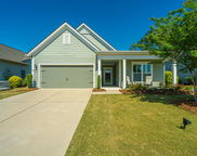145 Hedera Court, Summerville image