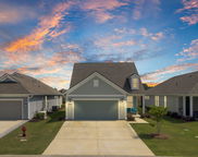 350 Dahlia Row Drive, Summerville image