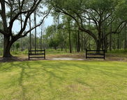 Whooping Island Creek Drive, Edisto Island image