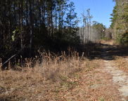 Black Tom Road, Moncks Corner image