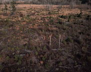 00 Hampton Avenue, Blackville image