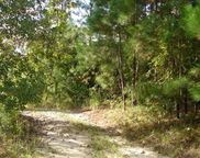 6 Parkers Ferry Rd, Adams Run image