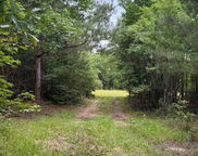 7082 M W Rickenbaker Road, Summerton image