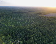 0000 Peniel Road, Walterboro image