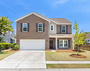 1302 Paint Horse Court, Mount Pleasant image