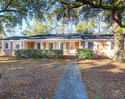 1595 Dickens Street, Charleston image