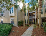 2522 Egret Crest Lane, Charleston image