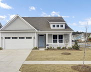 102 Black Stilt Way, Summerville image