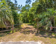 6589 Bears Bluff Road, Wadmalaw Island image