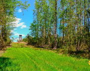 5659 Mt Pisgah Rd, Bethune image