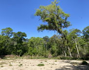 6079 Josie Ridge Road, Wadmalaw Island image