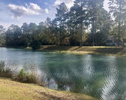 4163 Deep Step Drive, Ravenel image
