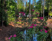 7810 Turtle Hill Lane, Edisto Island image