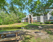 2011 N Highway 17 Unit #1400p, Mount Pleasant image