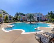 2221 Chatelain Way, Mount Pleasant image