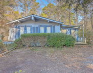 3041 Nye View Circle, Mount Pleasant image