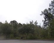 Mathis Ferry Road, Mount Pleasant image