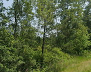 Wesley Chapel Avenue, Cottageville image