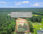 191 Marion Woods Trail, Bonneau image