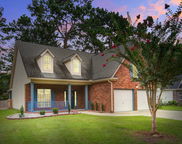 113 Presidio Bend, Summerville image