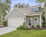 3840 Tupelo Branch Row, Mount Pleasant image