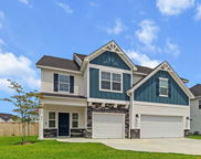 277 Fiddleback Drive, Summerville image