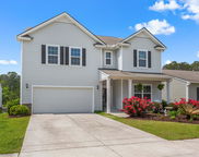 2840 Conservancy Lane, Charleston image