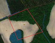 Lot 0 Carriage Hill Road, Elloree image